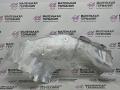 тепловой экран моторного отсека BMW X6 F16 2014, 3.0 л., N55 B30 A, бензин, АКПП, красный, правый руль, 51487180630, 7180630 - фото №8