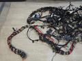 проводка BMW X5 G05 2021, 3.0 л., B58B30C, бензин, АКПП, черный, внедорожник 5 дв., полный привод, 6807487, 86721541, 9833815, 61146807487 - фото №2