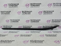 молдинг лобового стекла BMW X1 F48 2017, 2.0 л., B48 A20 B, бензин, АКПП, alpinweiss 3 (300), полный привод, правый руль, 51317350609, 7350609 - фото №7