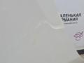 капот BMW X5 E70 [рестайлинг] 2011, 3.0 л., N55 B30 A, бензин, АКПП, белый, правый руль, 41617486754, 7486754 - фото №43