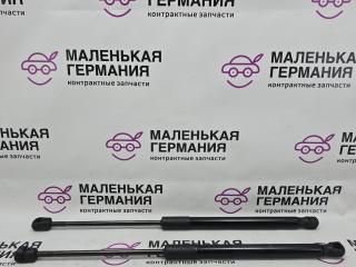 амортизатор капота BMW X1 F48 2016, 2.0 л., B47 C20 A, дизель, АКПП, alpinweiss 3 (300), передний привод, правый руль, 51237329410, 7329410