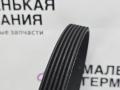 ремень ручейковый BMW X1 F48 2017, 2.0 л., B48 A20 B, бензин, АКПП, синий mediterranblau c10, полный привод, правый руль, 11288573253, 8573253 - фото №3