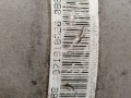 КПП автоматическая (АКПП) BMW 3 серия E90/E91/E92/E93 (2004 - 2010), 2.0 л., N46 B20 B, бензин, АКПП, 24007556041, 7556041 - фото №15
