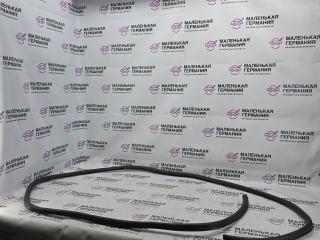 уплотнитель подкапотного пространства BMW 6 серия F06/F12/F13 2012, 4.4 л., N63 B44 B, бензин, АКПП, alpinweiss 3 (300), хетчбэк 5 дв., задний привод, правый руль, 51767211926, 7211926