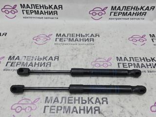 амортизатор капота BMW X3 G01 2019, 2.0 л., B48B20C, бензин, АКПП, c1m phytonic-blau metallic, внедорожник 5 дв., полный привод, 51237397493, 7397493