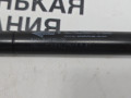 амортизатор крышки багажника (3-5 двери) BMW X6 F16 2014, 3.0 л., N55 B30 A, бензин, АКПП, красный, правый руль, 51479149120, 9149120 - фото №10