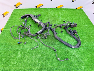 проводка двигателя Mercedes-Benz Sprinter 2 поколение [рестайлинг] (W906) (2014 - 2018), 2.1 л., OM 651.955, дизель, A6511592525, A6510100525, A6511503100, A6511592725, A0005452512