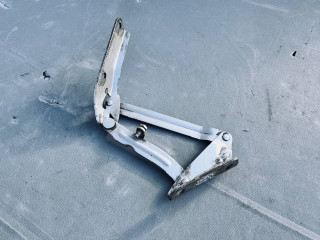 петля капота левая Mercedes-Benz Sprinter 2 поколение [рестайлинг] (W906) (2014 - 2018), 9067500021