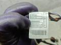 дверная проводка BMW X1 E84 [рестайлинг] 2012, 2.0 л., Ti, N20 B20 A, бензин, АКПП, внедорожник 5 дв., полный привод, 9269953, 9191809 - фото №6
