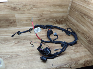 проводка двигателя Opel Insignia 1 поколение (A) 2008, 2.0 л., A 20 DTH, дизель, МКПП, седан, 55562676