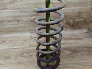 пружина задняя Toyota Picnic 1 поколение 1999, 2.2 л., 3C-TE, дизель, МКПП, минивэн