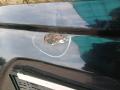 крышка багажника (дверь 3-5) Lexus RX 1 поколение 2000, 3.0 л., 1MZ-FE, бензин, АКПП, внедорожник 5 дв., полный привод - фото №6