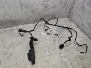 дверная проводка BMW X1 E84 [рестайлинг] 2012, 2.0 л., Ti, N20 B20 A, бензин, АКПП, внедорожник 5 дв., полный привод, 9269959, 9191810