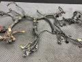 проводка двигателя Renault Kangoo 1 поколение [рестайлинг] KC1G 2008, 1.5 л., K9K 718, дизель, МКПП, минивэн, передний привод, 7700283236, 8200809642 - фото №4