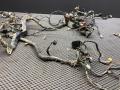 проводка подкапотная Toyota Corolla 9 поколение (E120/E130) [рестайлинг] CDE120 2003, 1.6 л., 3ZZ-FE, бензин, МКПП, седан, передний привод, 8211602101, 8212302220 - фото №4