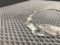 Прокладка КПП (пластина) Audi A6 4G/C7 4G2/C7 2013, 2.0 л., TFSI, CDNB, бензин, вариатор, 2y2y, седан, 038103647AB - фото №12