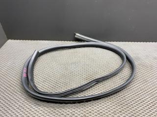 уплотнитель двери Renault Logan 2 поколение [рестайлинг] L8 2020, 1.6 л., K7M 812, бензин, МКПП, седан, 808324832R