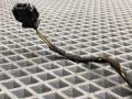 проводка Audi A6 4G/C7 4G2/C7 2013, 2.0 л., TFSI, CDNB, бензин, вариатор, 2y2y, седан, 4G0971679D - фото №4