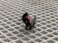 датчик ABS Audi A6 4G/C7 4G2/C7 2013, 2.0 л., TFSI, CDNB, бензин, вариатор, 2y2y, седан, 0265007929 - фото №4
