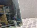 форточка задняя левая Renault Logan 2 поколение [рестайлинг] L8 2020, 1.6 л., K7M 812, бензин, МКПП, седан, 822636739R - фото №6