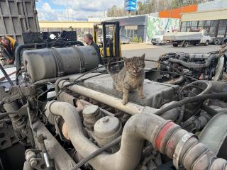 двигатель MAN TGS 1 поколение 2017, 10.5 л., D 2066 LF 62, дизель, 51011006420