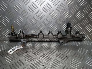 топливная рампа Renault Scenic 2 поколение [рестайлинг] 2007, 1.9 л., DCi, дизель, 445214113