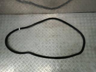 уплотнитель двери Volkswagen Passat B6 2007, 2.0 л., TDi, BMR, дизель, 6МКПП, чёрный, седан, передний привод, правый руль, 3C5867913B