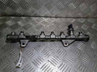 топливная рампа Renault Scenic 2 поколение [рестайлинг] 2007, 1.9 л., DCi, дизель, 0445214158, 8200750048