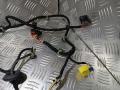 дверная проводка Volkswagen Passat B6 2009, 3C2971121CF - фото №4