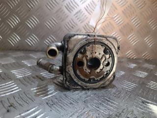 теплообменник масляного фильтра Volkswagen Passat B5 1999, 2.5 л., TDi, дизель, 059117021A