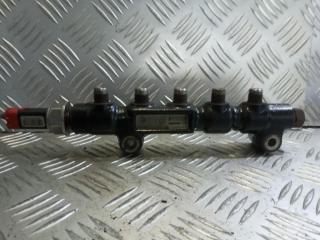 топливная рампа Ford Fusion 1 поколение 2003, 1.4 л., TDCi, дизель, 9648580880, 9648475280, 55PP06-01