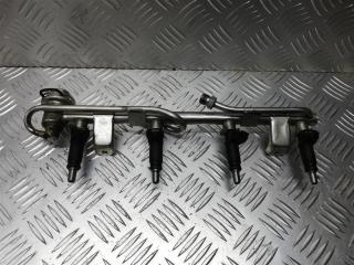 топливная рампа Volkswagen Passat B5 [рестайлинг] 2002, 2.0 л., i, бензин, 06B133551T, 06B133681