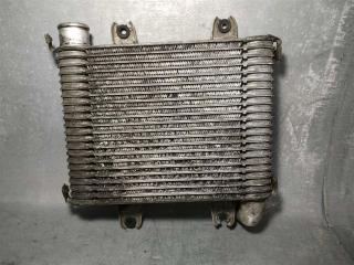 интеркулер Kia Carnival 1 поколение [рестайлинг] 2003, 2.9 л., CRDi, дизель, 10