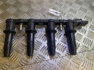 катушка зажигания Opel Astra H/Family [рестайлинг] 2008, 1.8 л., i, бензин, DMB939