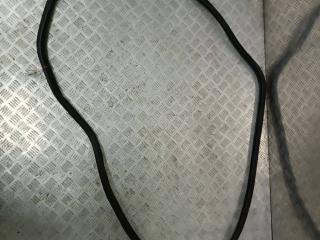 уплотнитель двери Volkswagen Passat B6 2007, 2.0 л., TDi, BMR, дизель, 6МКПП, чёрный, седан, передний привод, правый руль, 3C4867911B