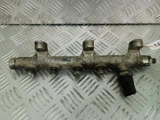 топливная рампа Renault Espace 3 поколение 2000, 2.2 л., DCi, дизель, 0445214018, 8200010077, 0281002522