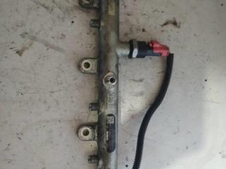 топливная рампа Citroen C5 1 поколение 2002, 2.0 л., HDi, дизель, МКПП, 445214019