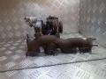 турбина Volkswagen Passat B6 2009, 2.0 л., TDi, дизель, 53031019594 - фото №4
