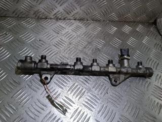 топливная рампа Renault Scenic 2 поколение [рестайлинг] 2008, 1.9 л., DCi, дизель, 445214158