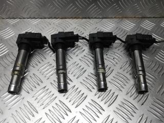 катушка зажигания Volkswagen Polo 4 поколение 2003, 1.4 л., i, бензин, 40102030