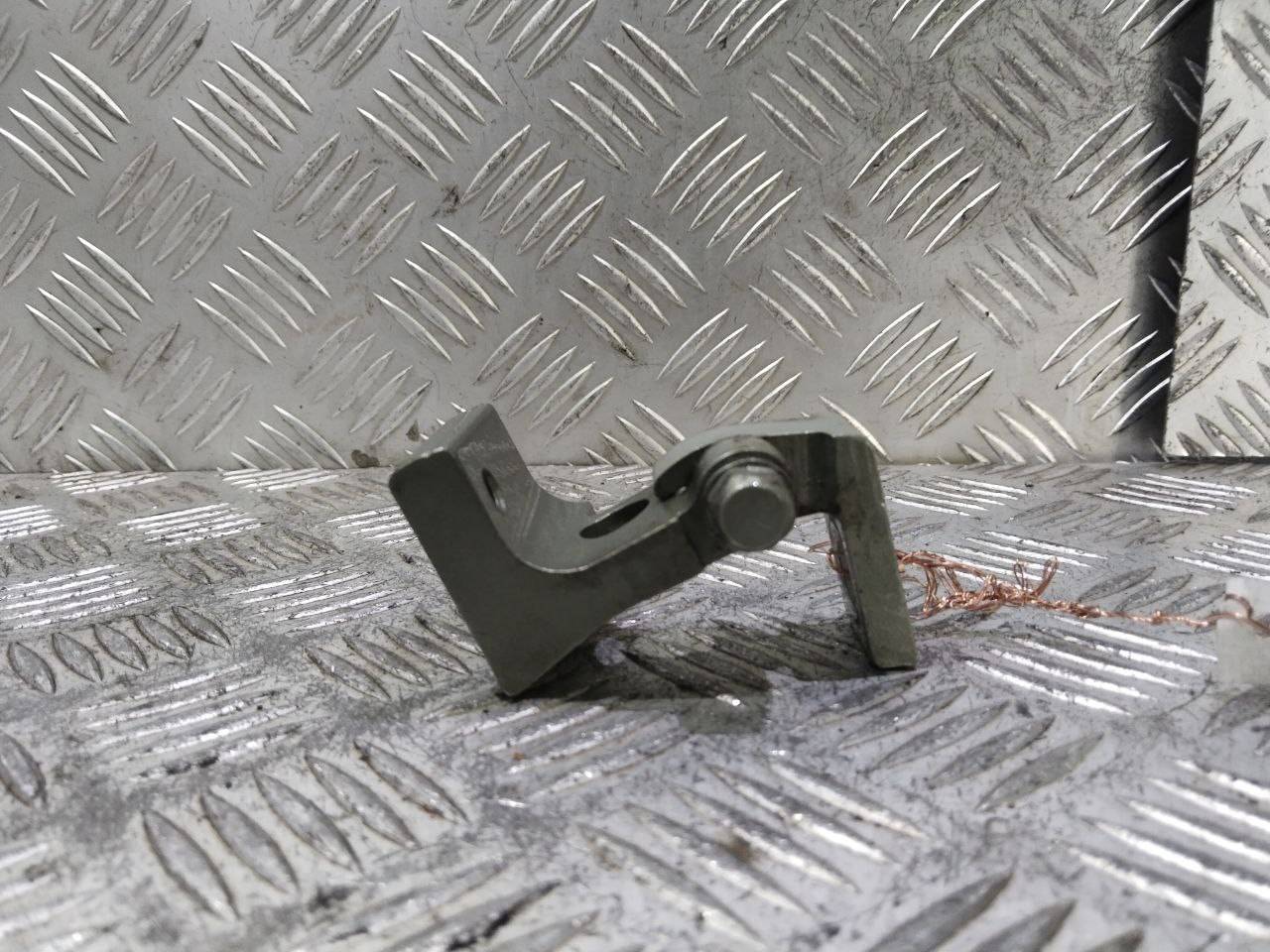 петля двери Audi Q7 4L 2006, 3.0 л., TDi, BUG, дизель, АКПП, бежево-серый, внедорожник 5 дв., полный привод, правый руль, 7L0833401B - фото №1