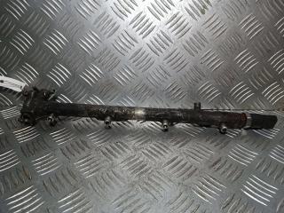 топливная рампа Mercedes-Benz Vito W638 2001, 2.2 л., CDi, дизель, 0445214004, A6110700095, 0281002239