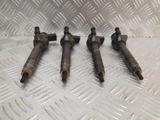 форсунка BMW 3 серия E90/E91/E92/E93 [рестайлинг] 2008, 2.0 л., D, дизель, 445110289