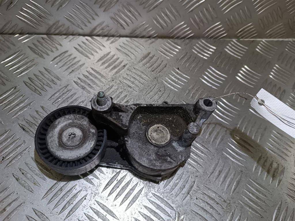 механизм натяжения ремня, цепи Volkswagen Golf 5 поколение 2005, 1.9 л., TDi, дизель, 03G903315A - фото №1