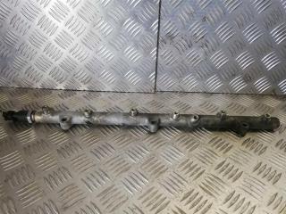 топливная рампа BMW 5 серия E39 2000, 2.5 л., D, дизель, 0281002405, 0445216002