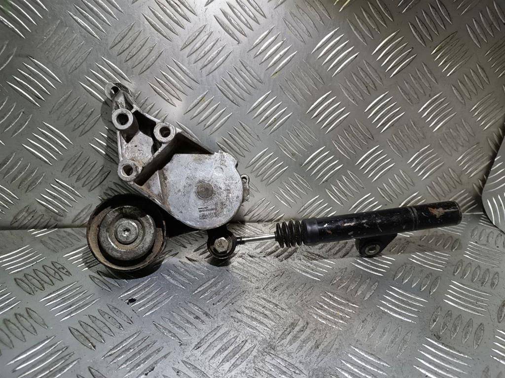 механизм натяжения ремня, цепи Volkswagen Golf 4 поколение 1999, 1.9 л., TDi, дизель, 038903315AE - фото №1
