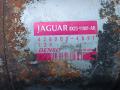стартер Jaguar XF X250 2010, 3.0 л., 306DT, дизель, АКПП, задний привод, 4280004891, 8X2311001AB - фото №7