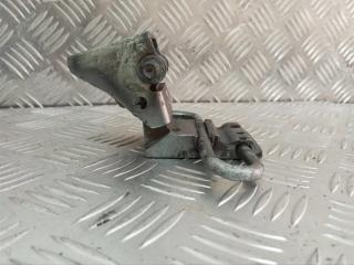 петля двери Volkswagen Passat B5 [рестайлинг] 2004, 3B4833411B