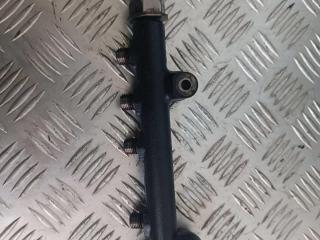 топливная рампа Peugeot Partner 1 поколение (M59) [рестайлинг] 2010, 1.6 л., HDi, дизель, 9670076780, 9685297580