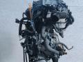 двигатель Volkswagen Golf 4 поколение 1999, 1.6 л., i, AKL, бензин, 5МКПП, передний привод, AKL, AKL - фото №3